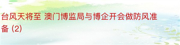 台风天将至 澳门博监局与博企开会做防风准备 (2)